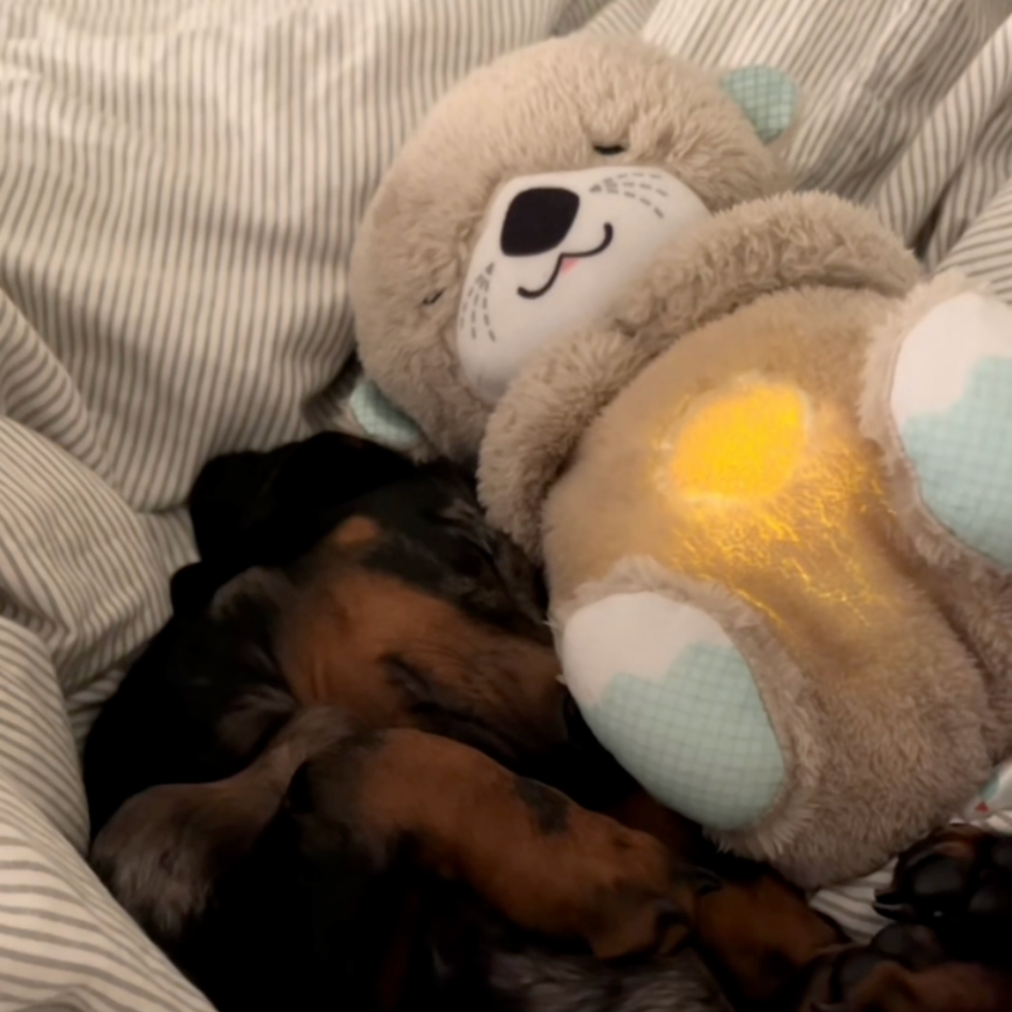 BreatheBuddy™ | De Ademende kalmerende troostknuffel