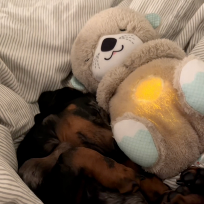 BreatheBuddy™ | De Ademende kalmerende troostknuffel