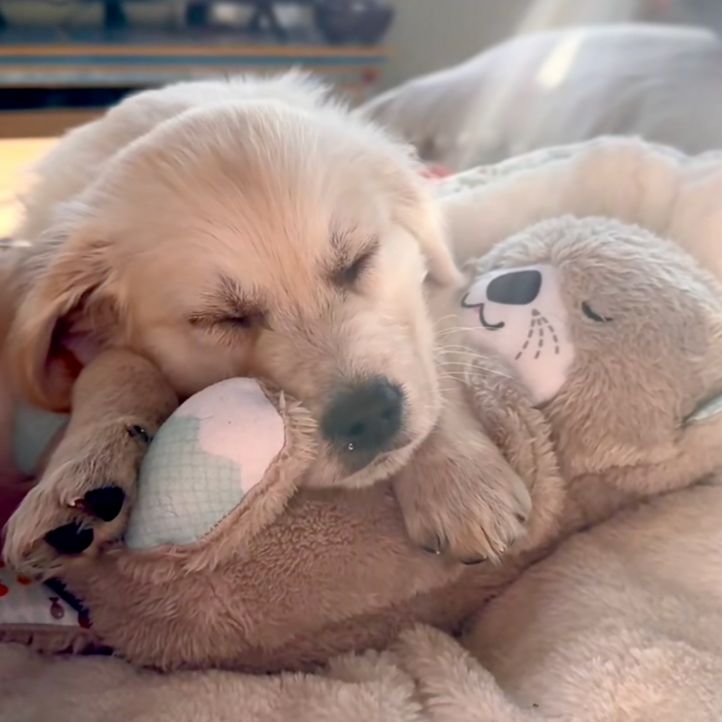 BreatheBuddy™ | De Ademende kalmerende troostknuffel