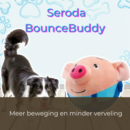 Seroda BounceBuddy™ – Interactief Speelmaatje voor Je Hond