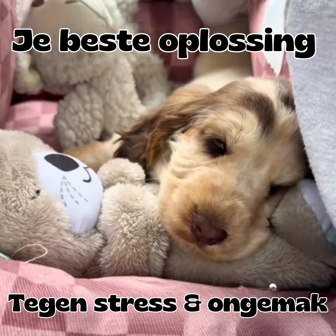 BreatheBuddy™ | De Ademende kalmerende troostknuffel