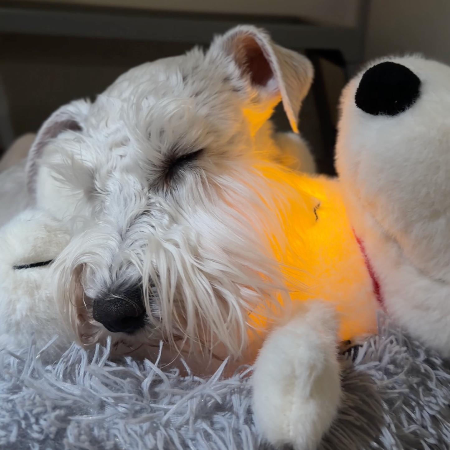 BreatheBuddy™ | De Ademende kalmerende troostknuffel
