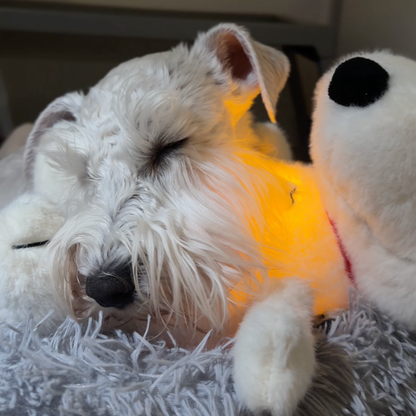 BreatheBuddy™ | De Ademende kalmerende troostknuffel