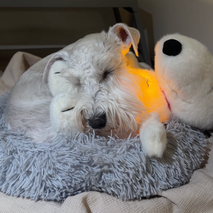 BreatheBuddy™ | De Ademende kalmerende troostknuffel