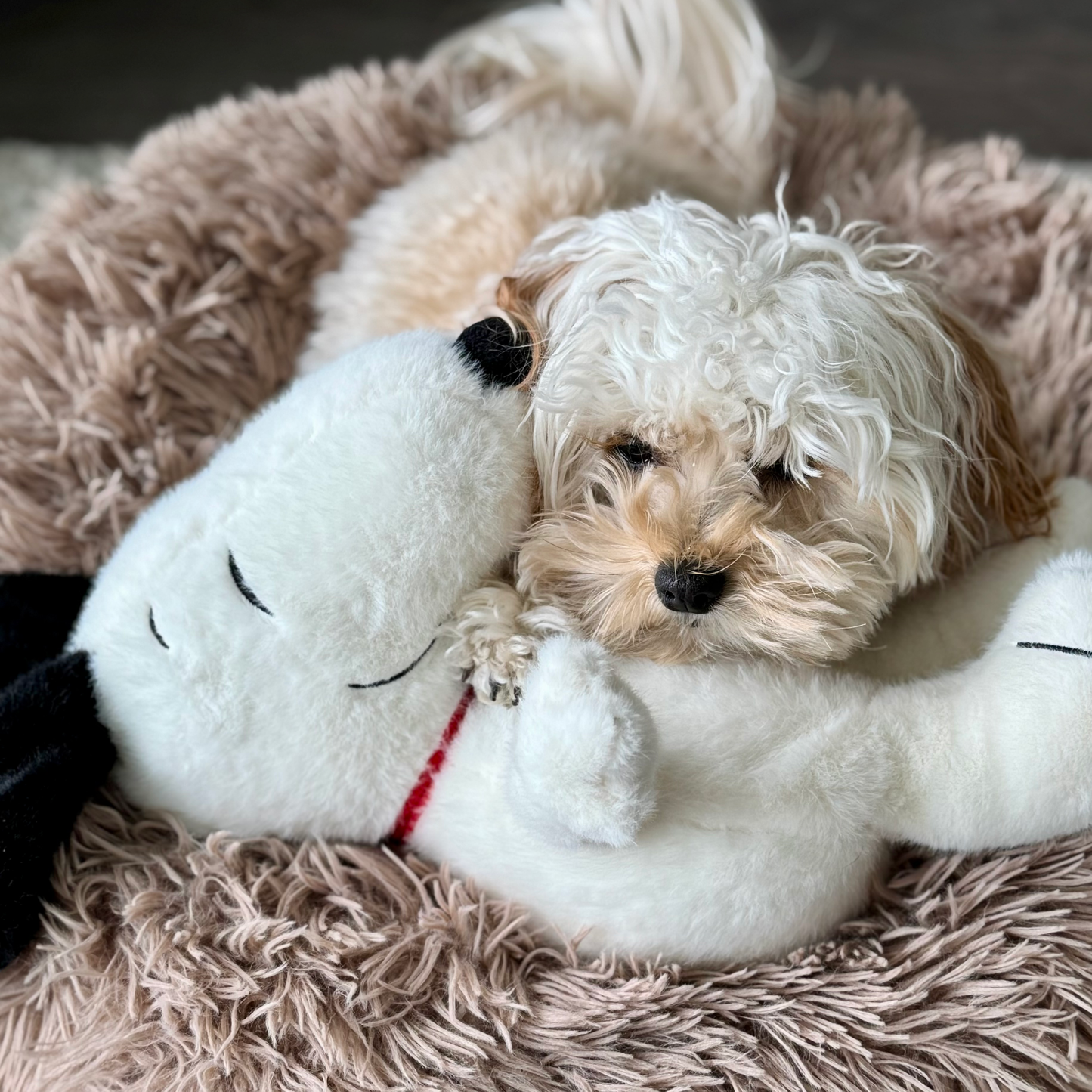 BreatheBuddy™ | De Ademende kalmerende troostknuffel