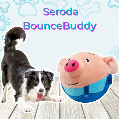 Seroda BounceBuddy™ – Interactief Speelmaatje voor Je Hond