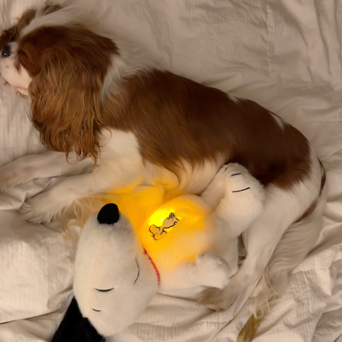 BreatheBuddy™ | De Ademende kalmerende troostknuffel
