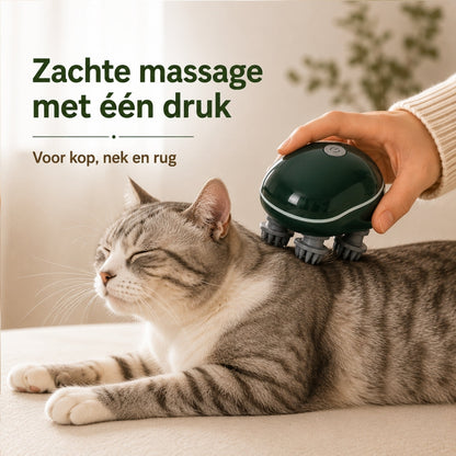 Cat Massage - De Massage Waar Je Huisdier Geen Genoeg Van Krijgt