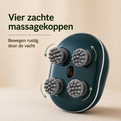 Cat Massage - De Massage Waar Je Huisdier Geen Genoeg Van Krijgt