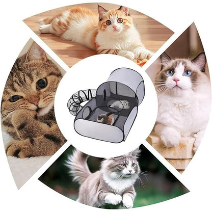 Catlounge™ | De Ultieme Speel- en Relaxplek voor Je Kat.