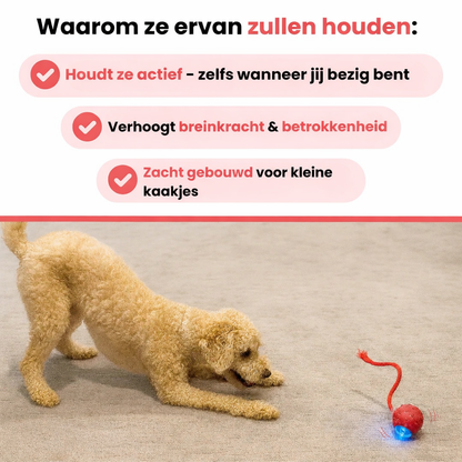 Seroda TurboTail™ - Interactief speeltje voor al u huisdieren.
