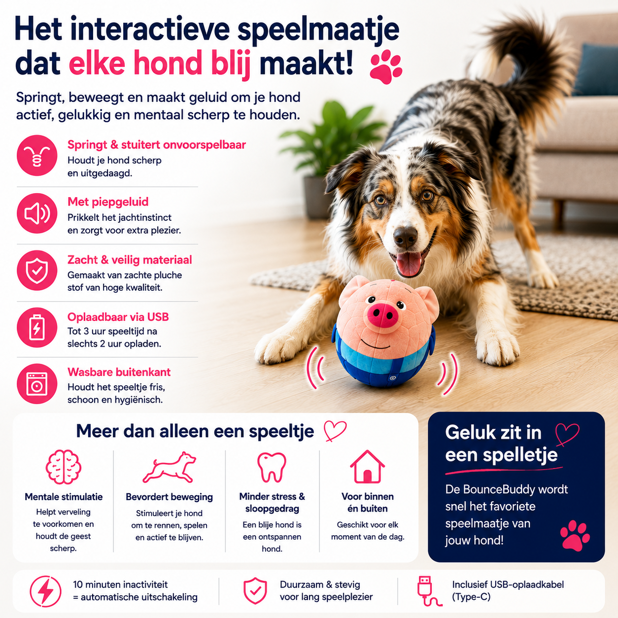 BounceBuddy vermindert verlatingsangst bij honden