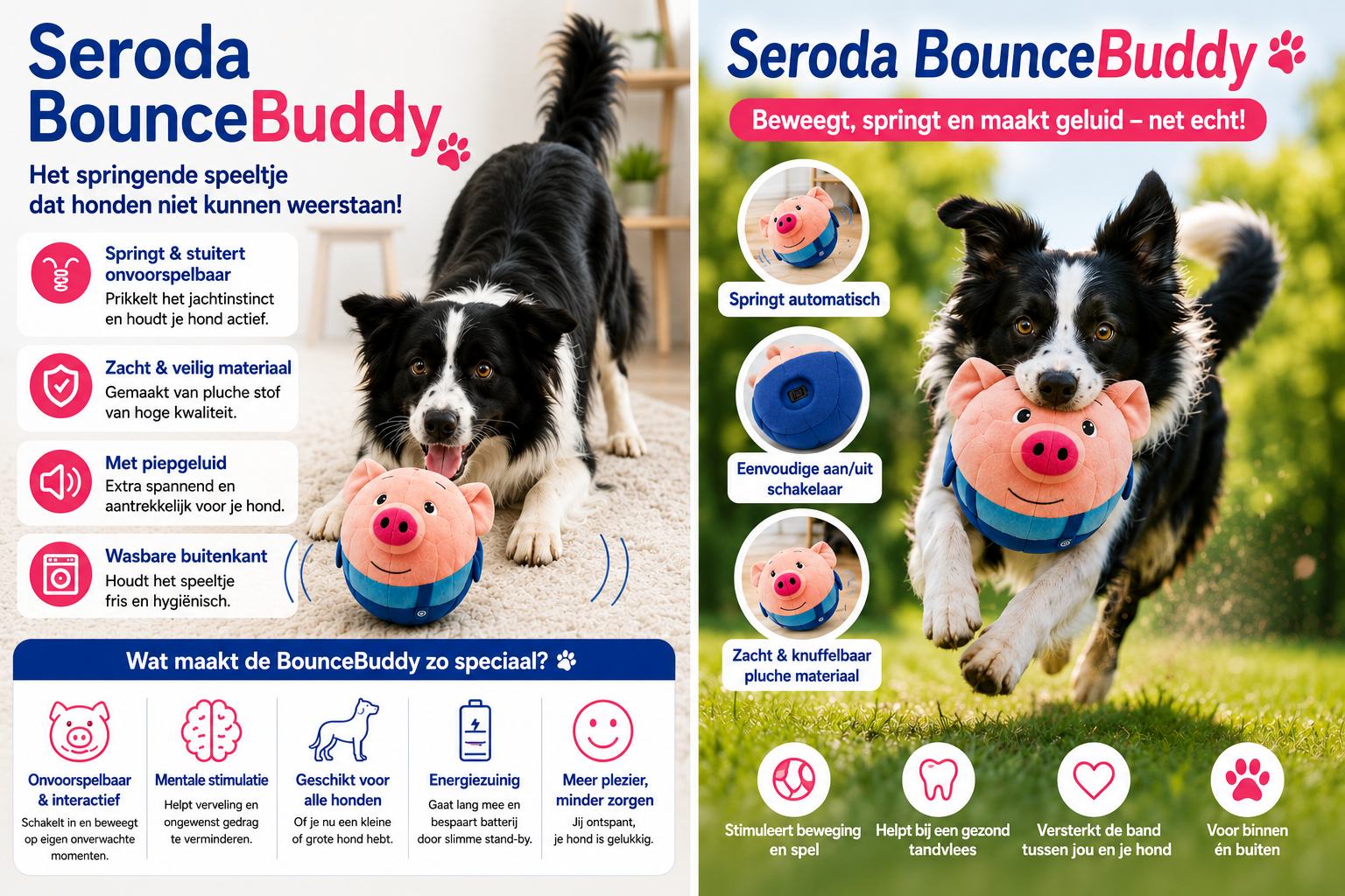 BounceBuddy stimuleert lichaam en brein van je hond