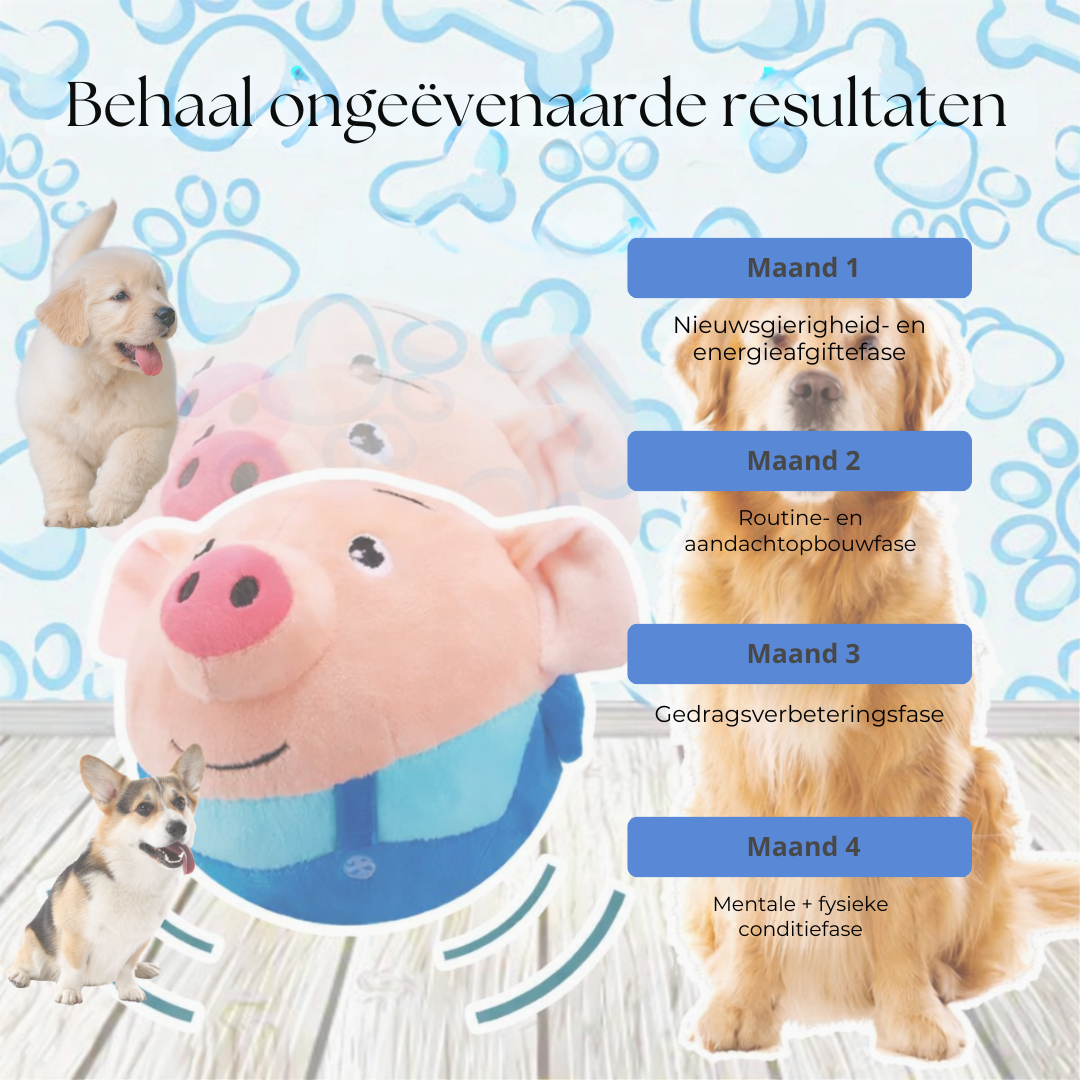 Seroda BounceBuddy™ – Interactief Speelmaatje voor Je Hond