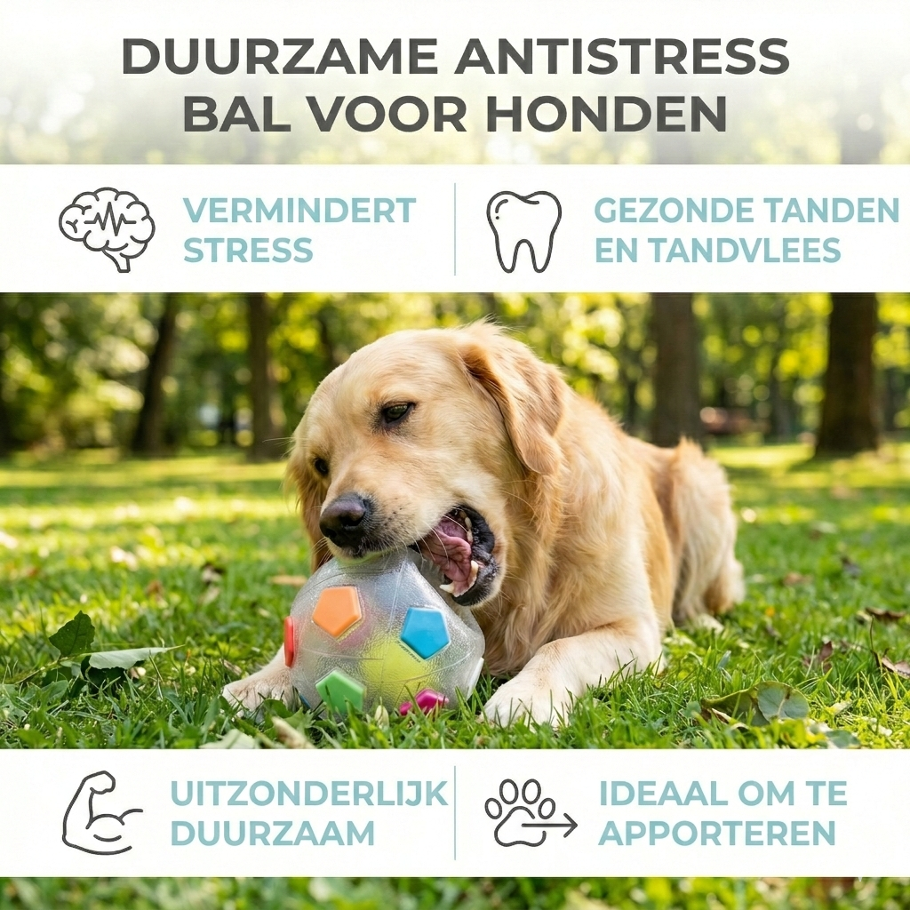 ToughBall - Onverwoestbare Hondenbal voor Sterke Kauwers