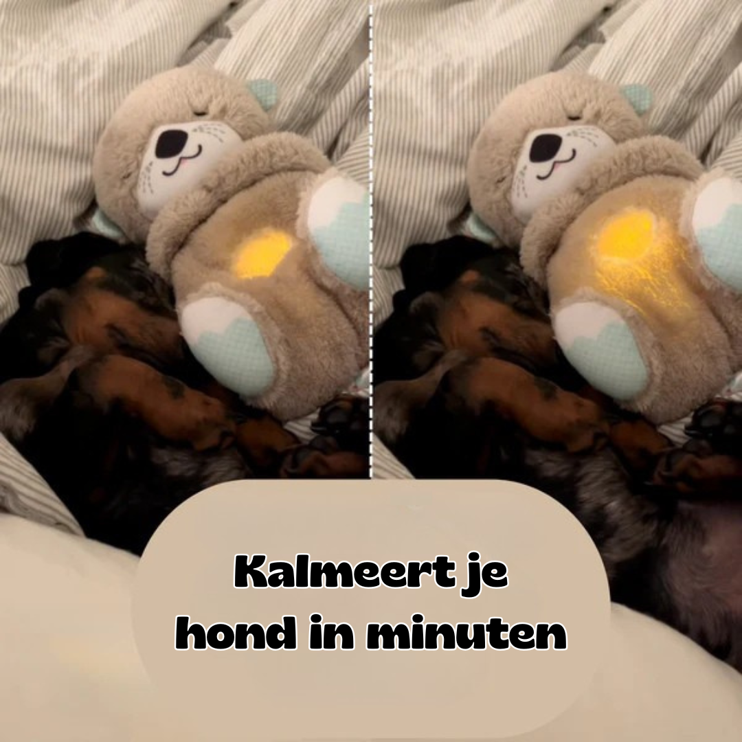 BreatheBuddy™ | De Ademende kalmerende troostknuffel