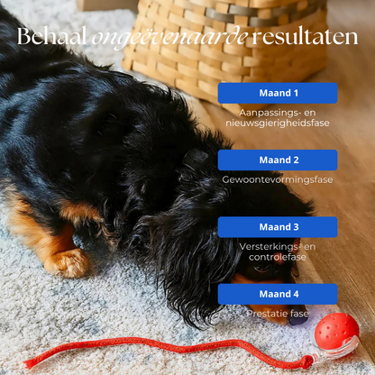 Seroda TurboTail™ - Interactief speeltje voor al u huisdieren.