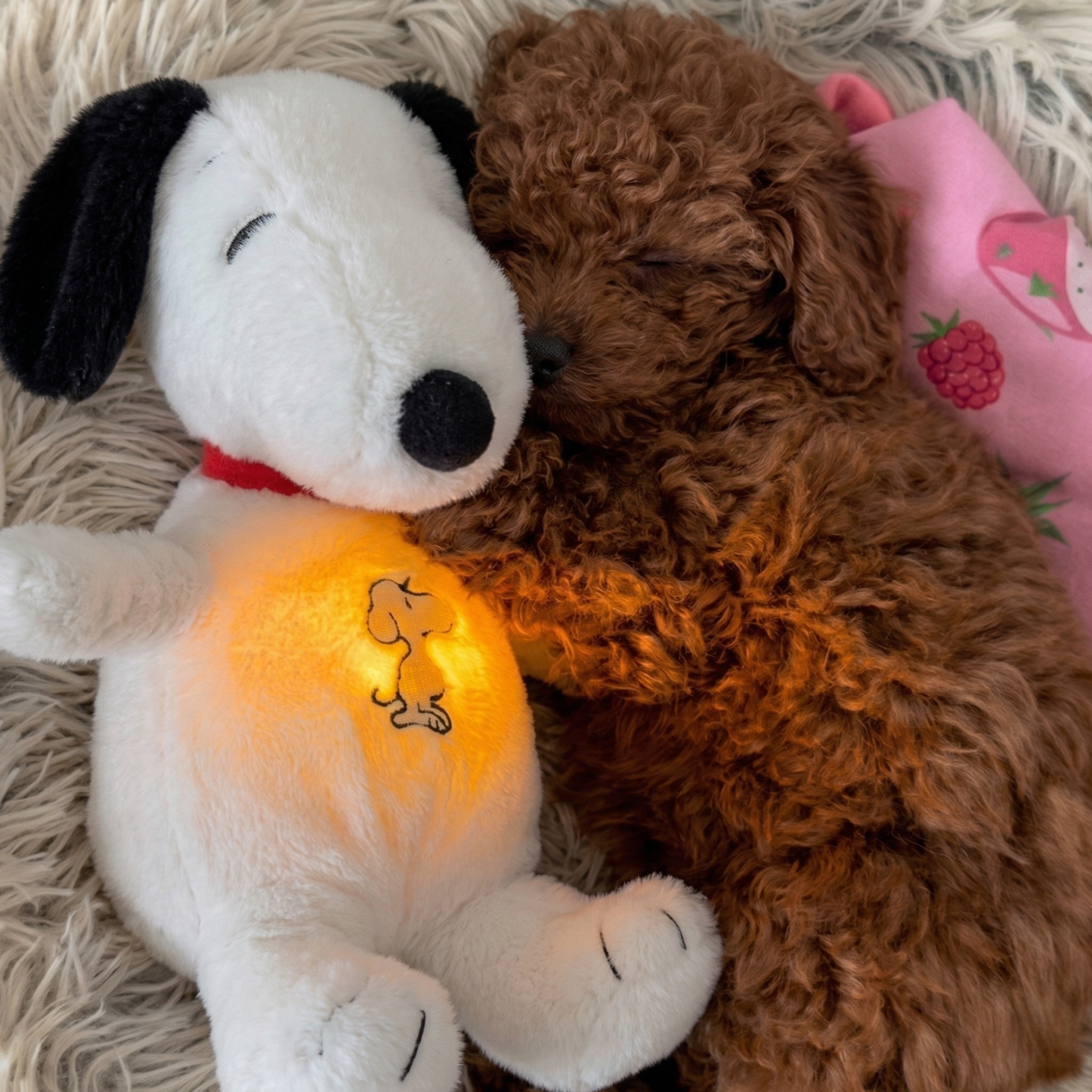 BreatheBuddy™ | De Ademende kalmerende troostknuffel