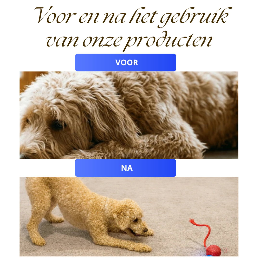 Seroda TurboTail™ - Interactief speeltje voor al u huisdieren.