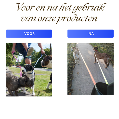 DuoWandellijn – Anti‑Verstrengelde Dubbele Hondenriem