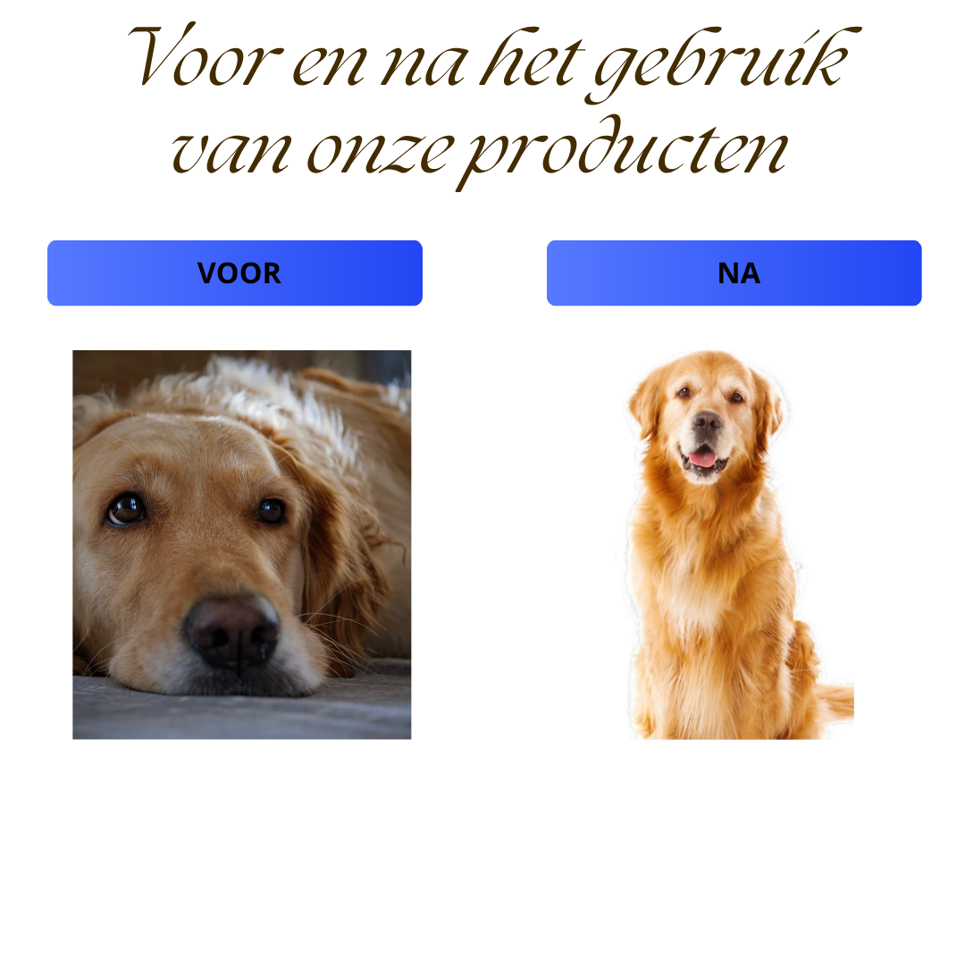 Seroda BounceBuddy™ – Interactief Speelmaatje voor Je Hond