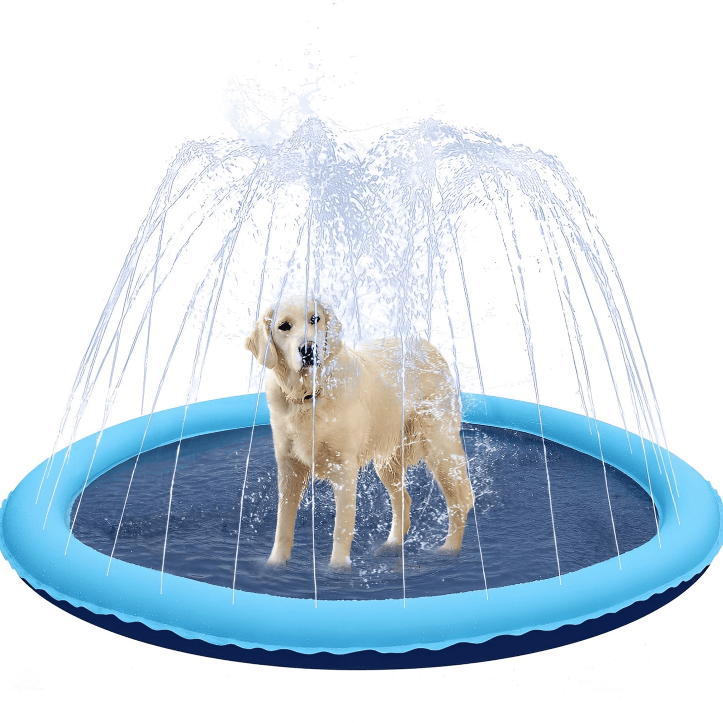 Golden retriever staat in de AquaPaws waterspeelmat
