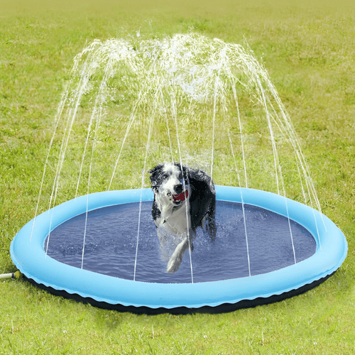 AquaPaws waterspeelmat, hond speelt in de opspuitende waterstralen