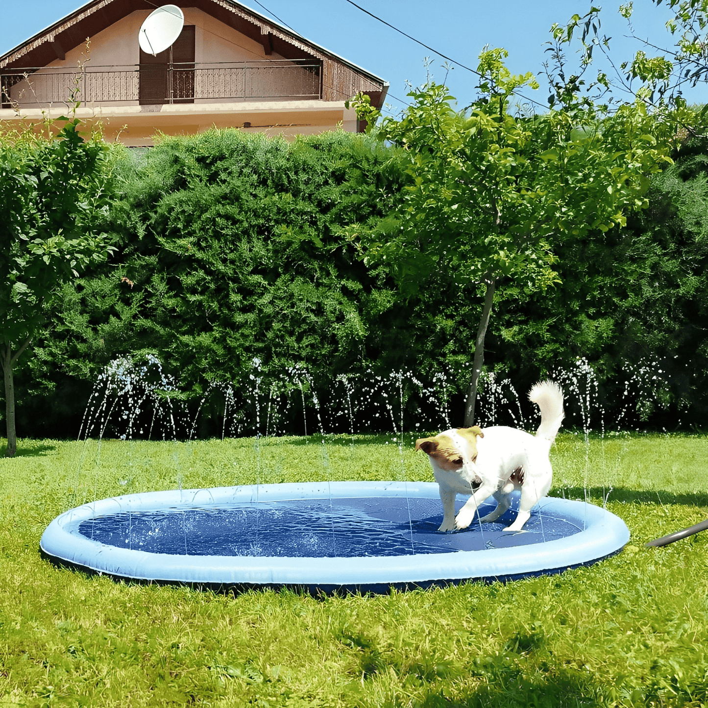 AquaPaws mat aangesloten op de tuinslang in de tuin