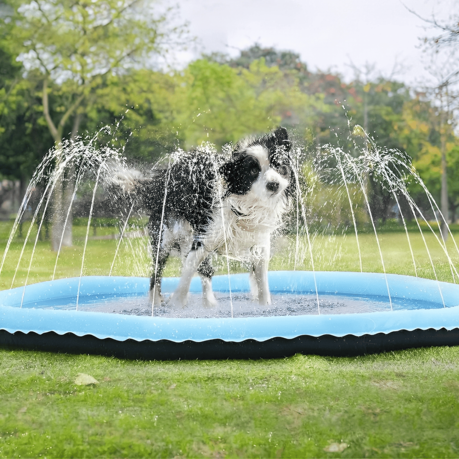 Hond geniet van de AquaPaws sproeimat in de tuin