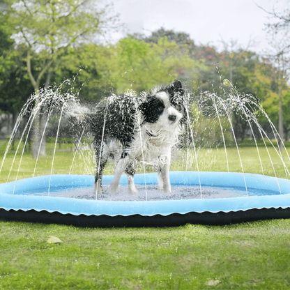 Hond geniet van de AquaPaws sproeimat in de tuin