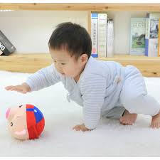 <h2>Geliefd bij huisdieren én kids!</h2>