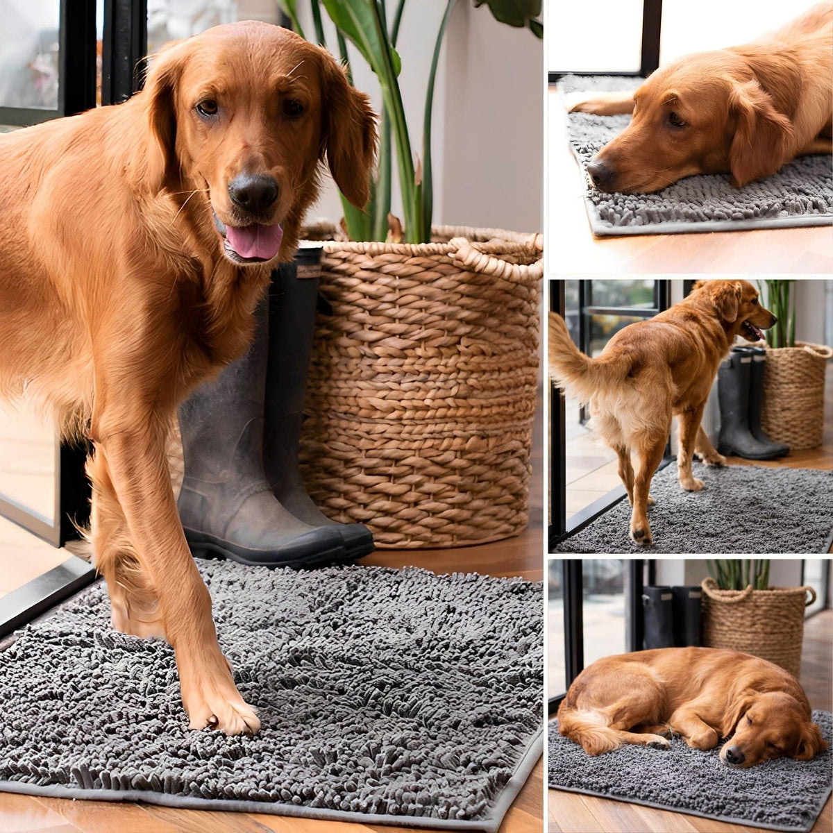 Premium CleanMat - antislip