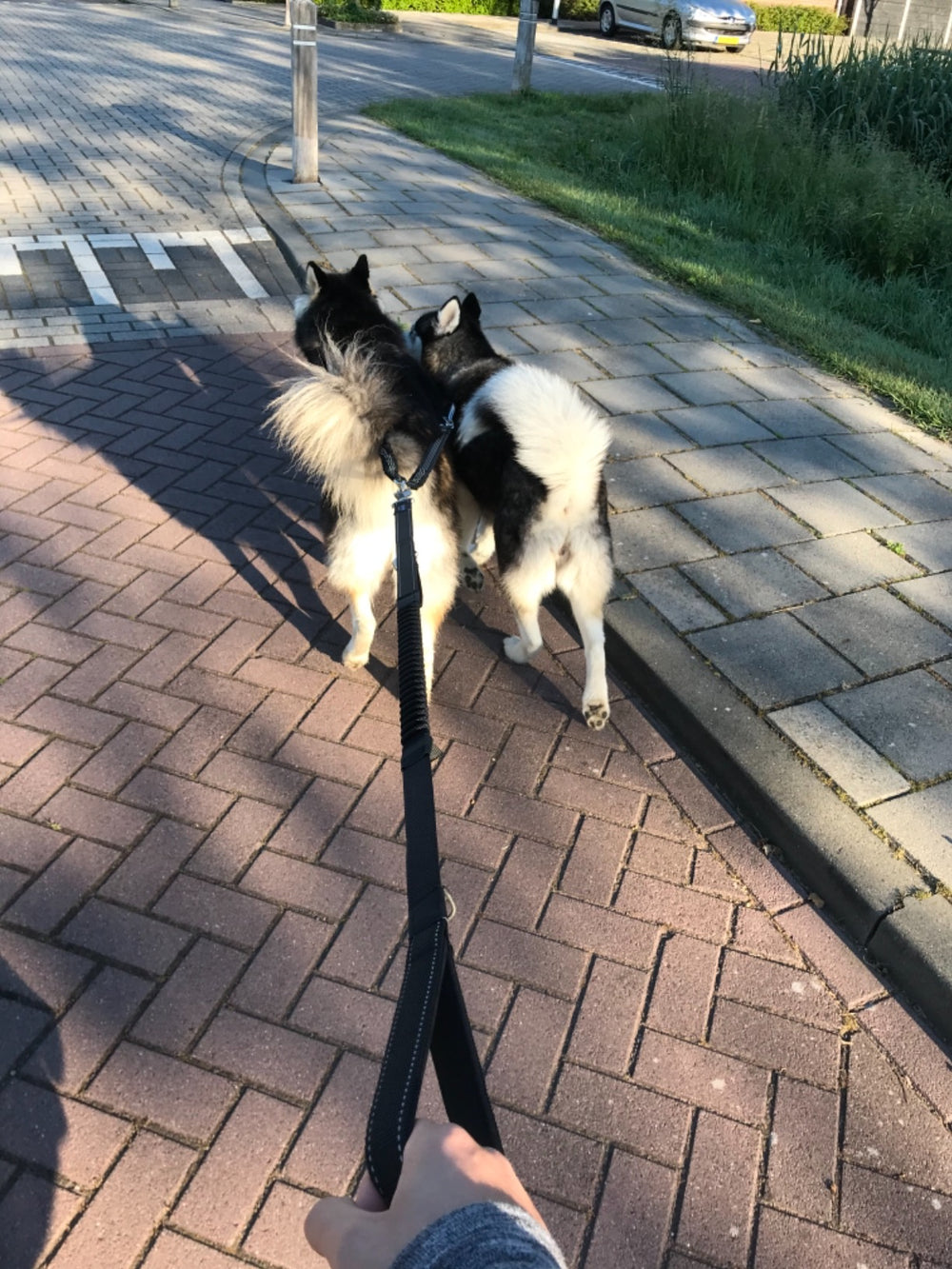 <h1><em><strong><br/>Geliefd door baasjes én hun huisdieren.<br/><br/></strong></em></h1>