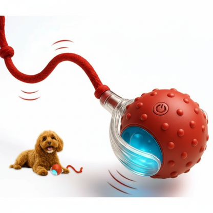 Seroda TurboTail™ - Interactief speeltje voor al u huisdieren.