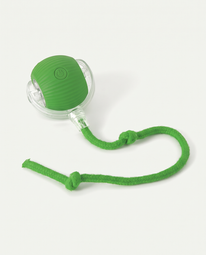 PawChaser zelfrollende bal groen