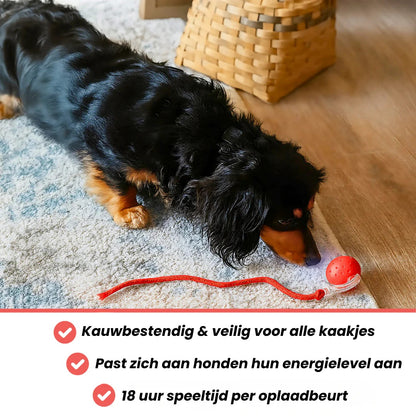 Seroda TurboTail™ - Interactief speeltje voor al u huisdieren.