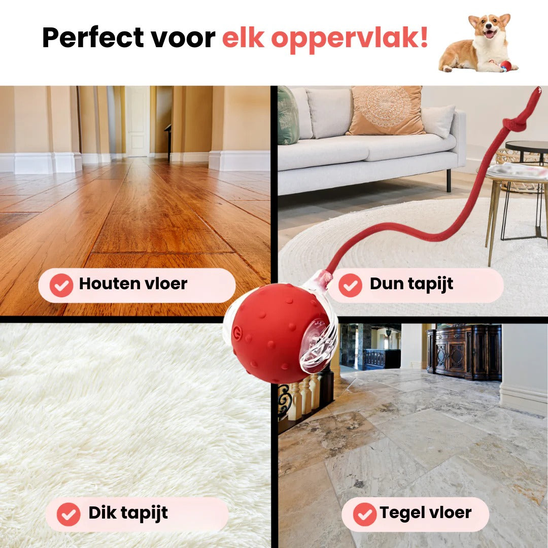 Seroda TurboTail™ - Interactief speeltje voor al u huisdieren.