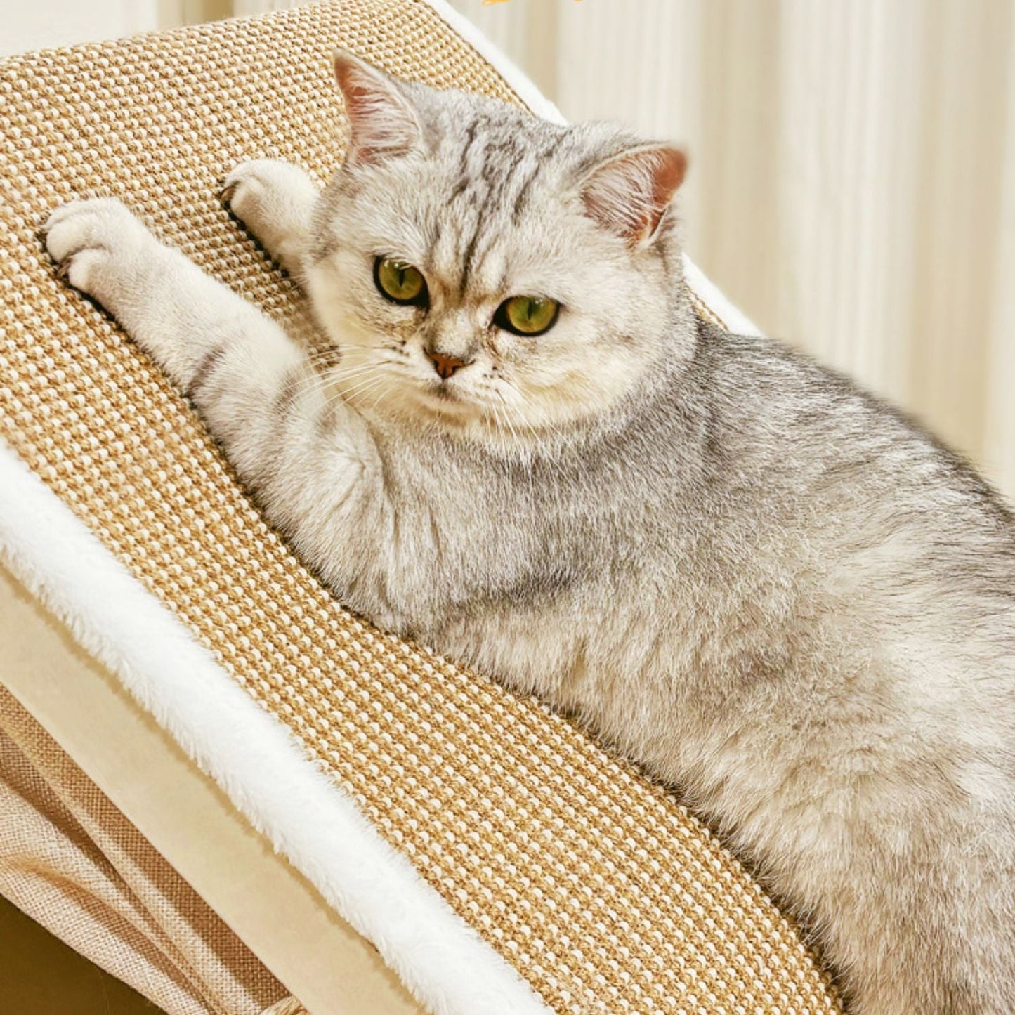 XL Kattenvilla met Krabdak
